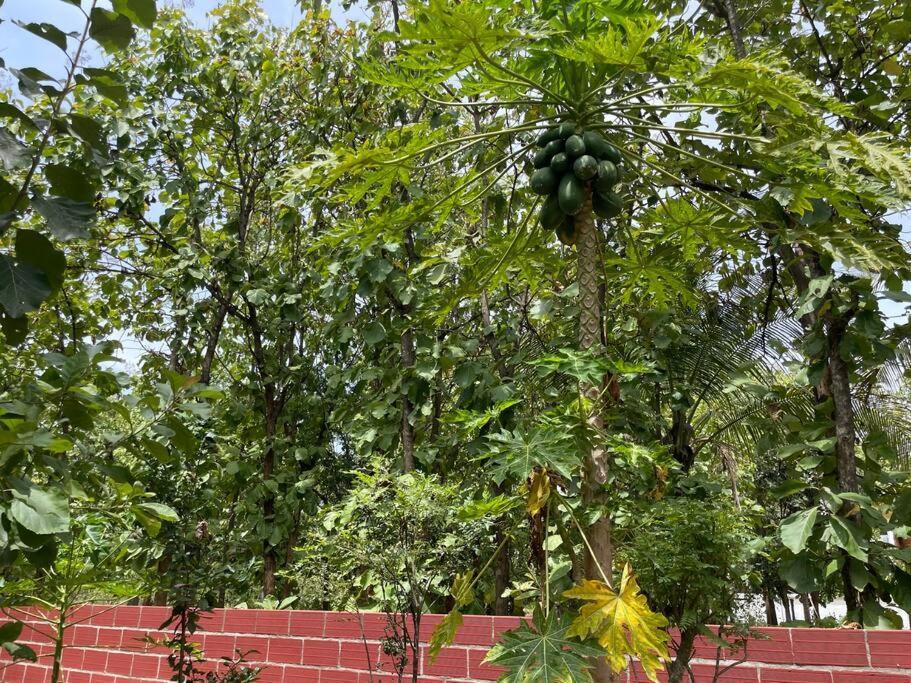 'Vrindavan' In Heritage City Mysuru 外观 照片